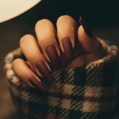 Matte Oxblood Dark Cherry Long Coffin Nails
