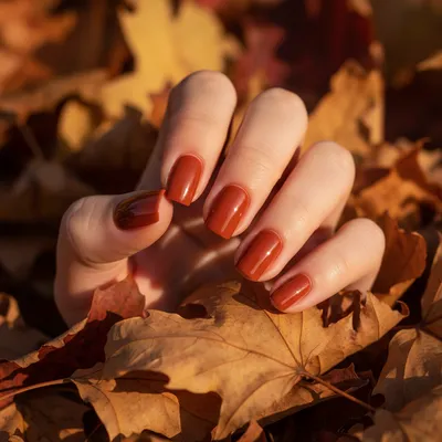 Burnt-orange Pumpkin Square Nails